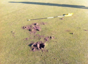 Devon GC Suffers ‘Worst Vandalism In Living Memory’