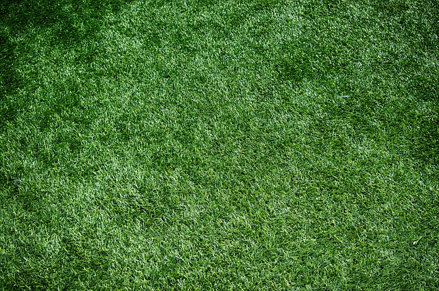 Jobs Lost As Sports Turf Contractor Slips Into Administration
