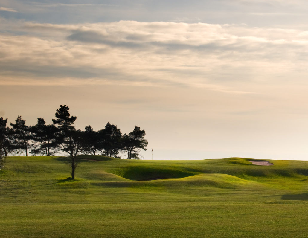 Rigby Taylor At Stinchcombe GC