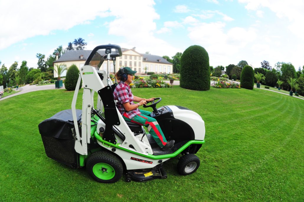 Scamblers Become Etesia Dealer