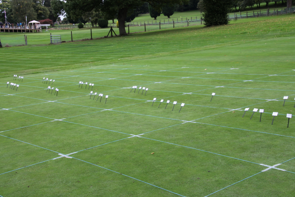 Preventative Treatments Impress In STRI Trials