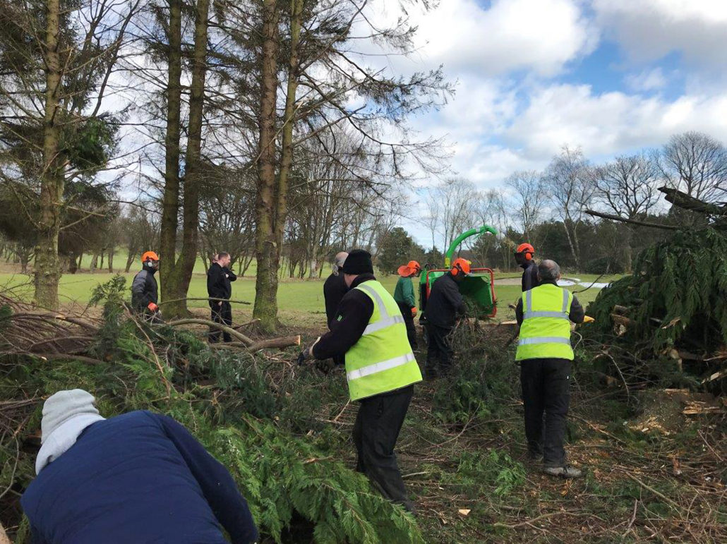 Woodland Work At Fife Golf Trust