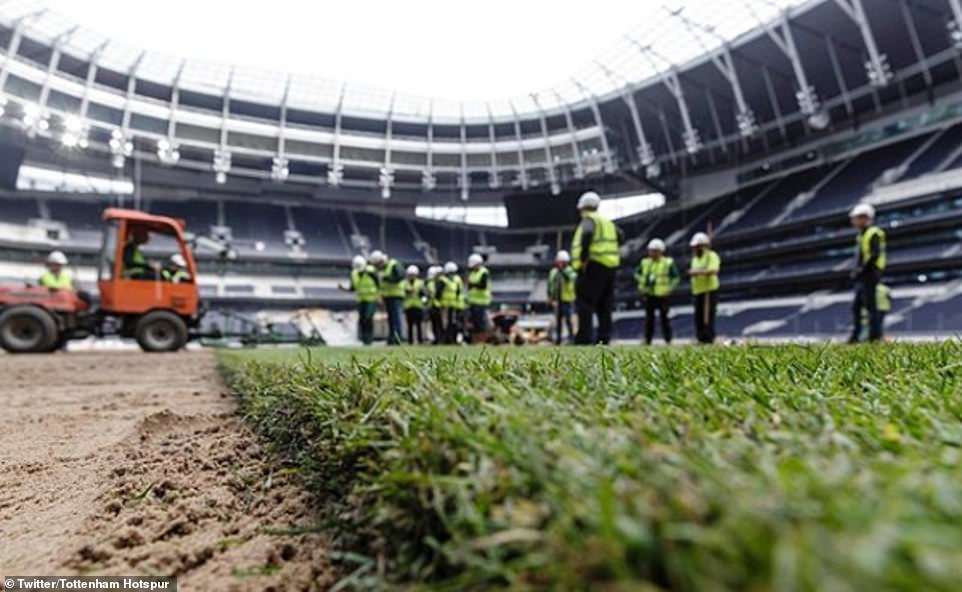 Tottenham's New Turf