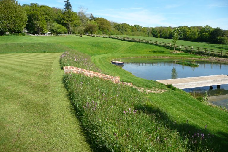 10 Years Of Wildflowers For Hampshire Manor