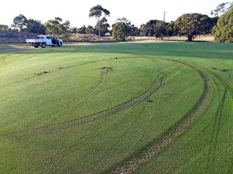 Vandals Target Golf Greens