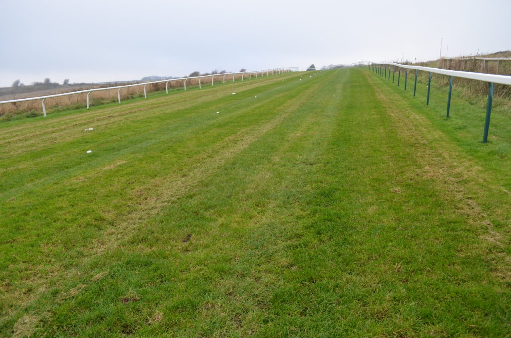 Rigby Taylor At Brighton Racecourse