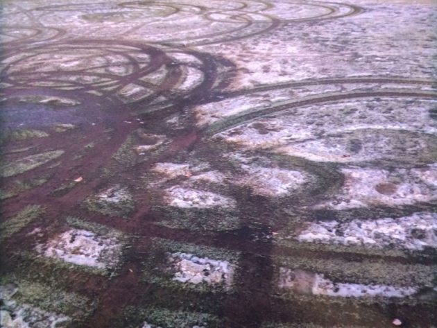 Four Golf Greens Vandalised