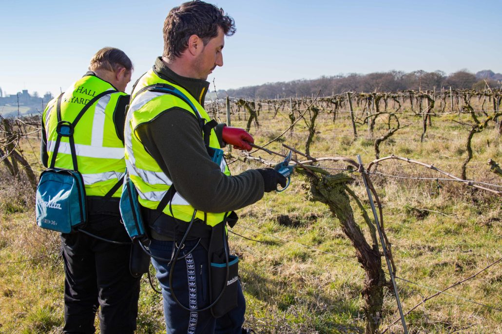 Makita Pruning Shears A Success At New Hall