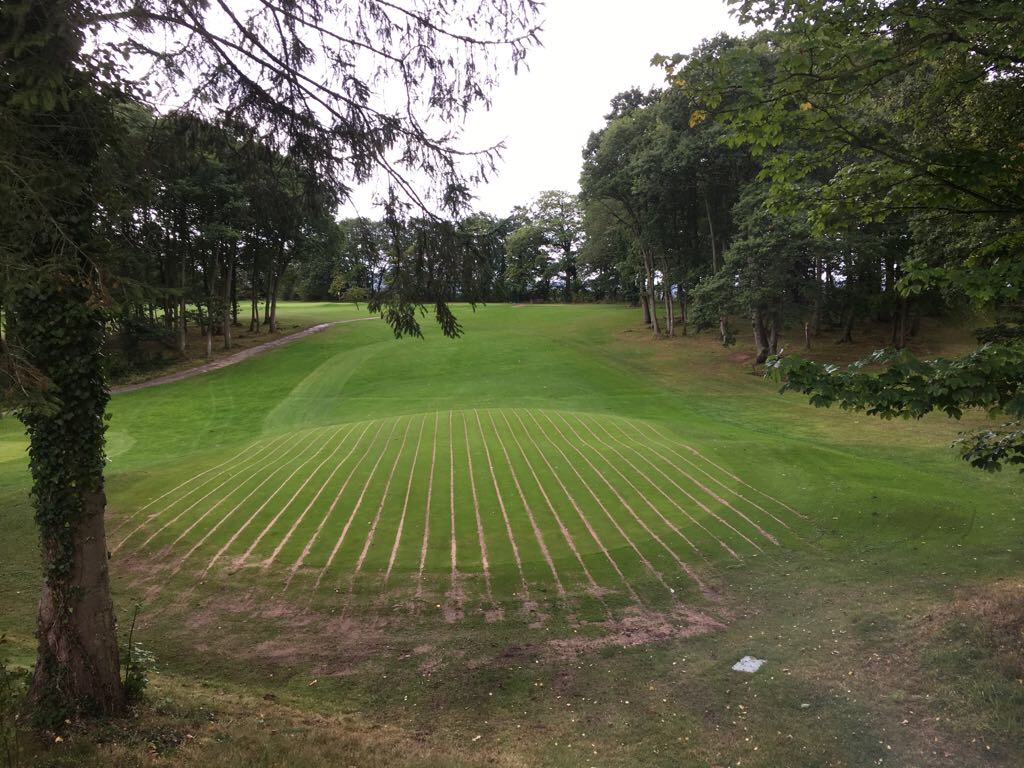 Shelton Transform Golf Club Greens