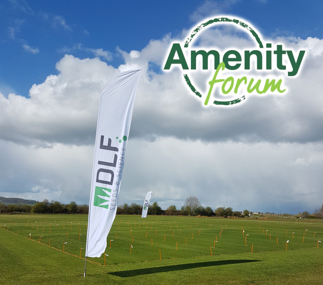 DLF Join The Amenity Forum