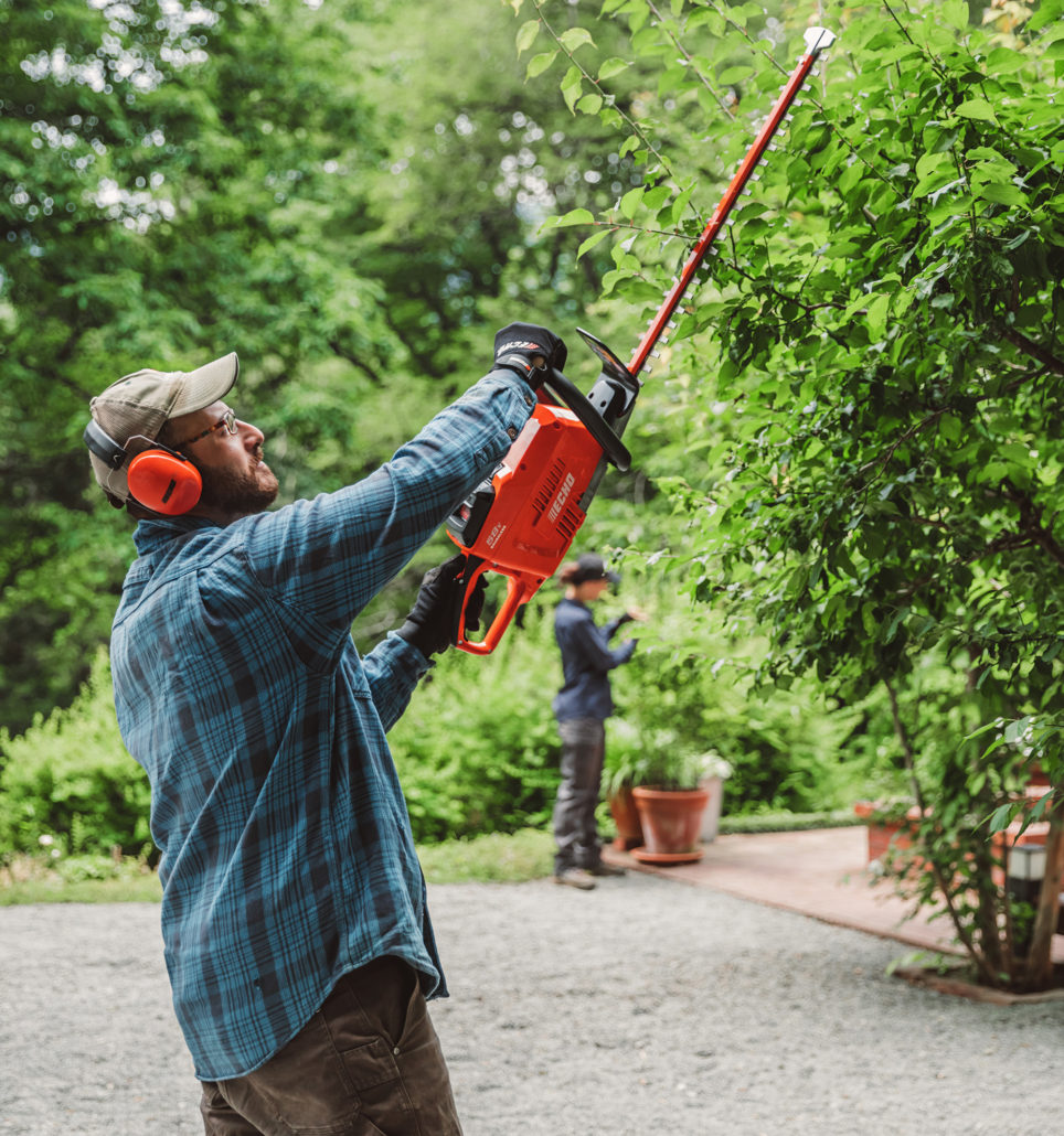 ECHO's New 58V Hedgetrimmer