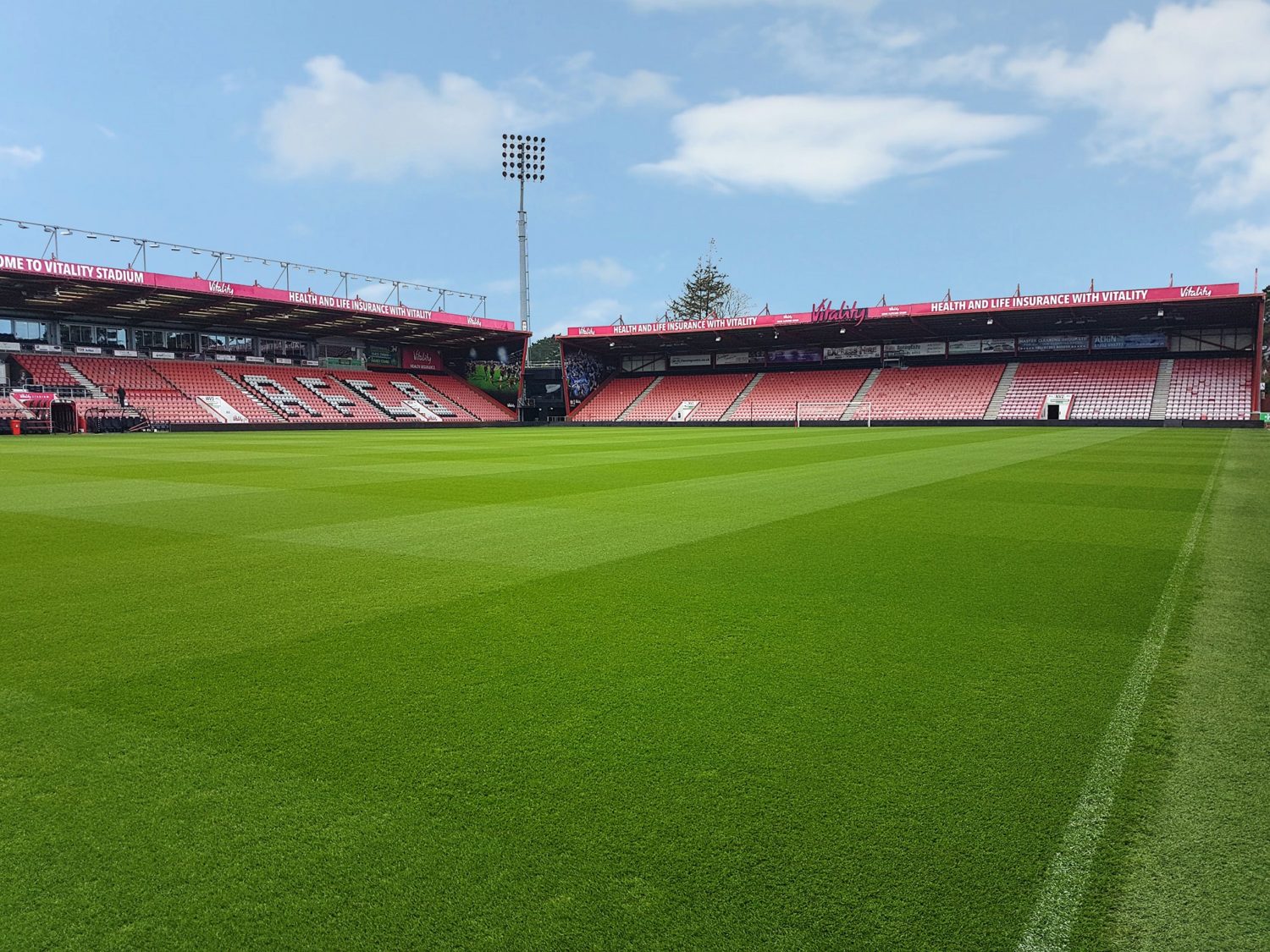 J Premier Delivers At Bournemouth Turf Matters