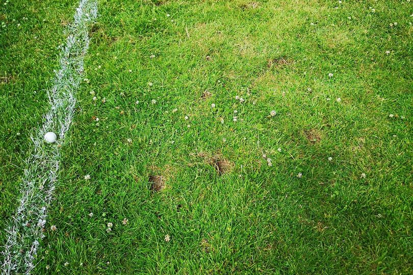 Pitch Vandalised With Golf Clubs