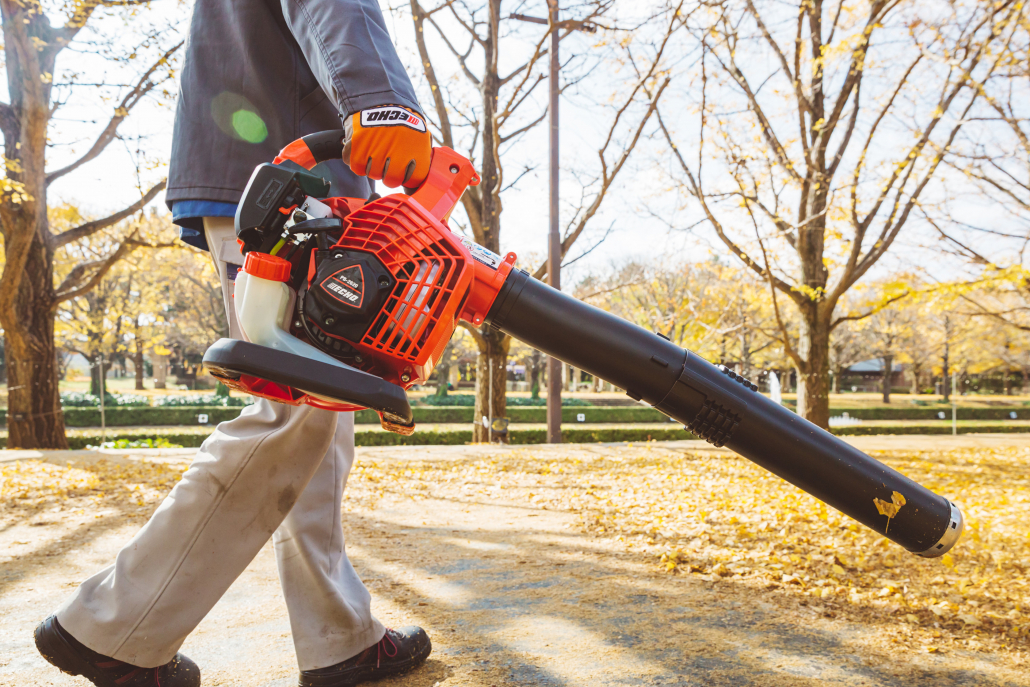 Echo handheld deals blower