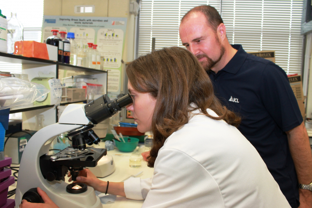 Could seaweed help keep nematodes in turf grass in check?