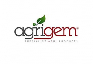 Sales / Account Manager Sales / Account Manager