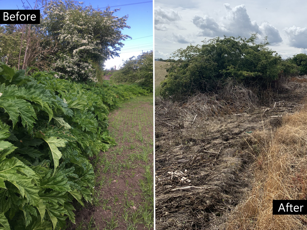 Roundup ProVantage the go-to glyphosate