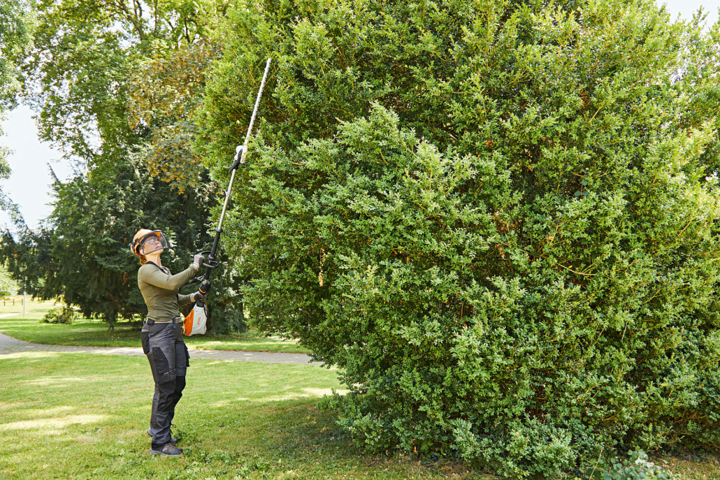 STIHL launches cordless hedge trimmer