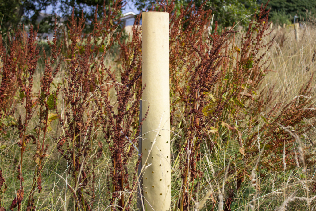 Agrovista Amenity launches biodegradable tree guards