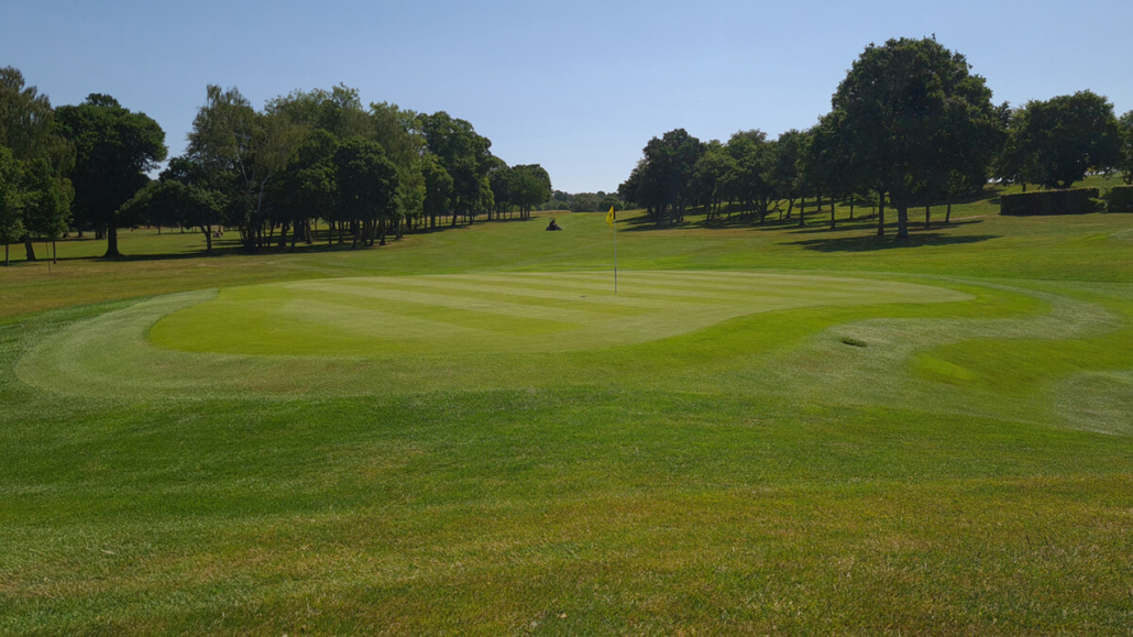 Riptide helps to transform the greens at Dudsbury