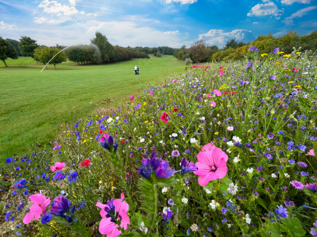 Gaudet Luce Golf Club's Wildflower Success