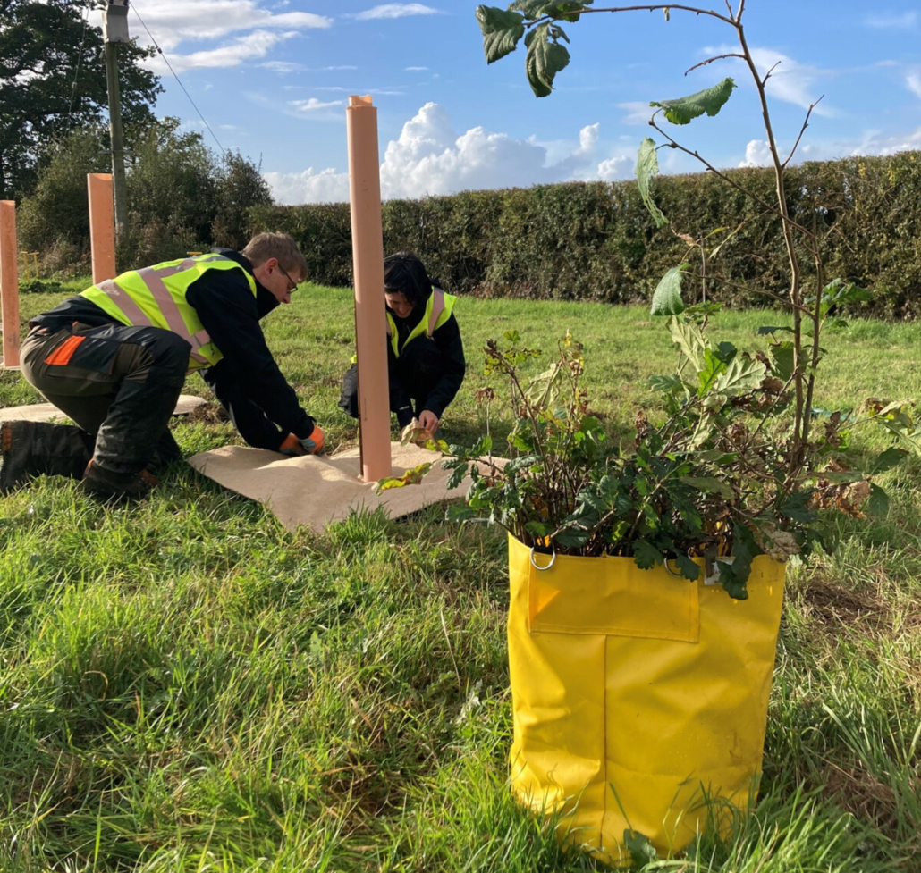 Tubex Supports Greenway Training’s Tree Planting Courses