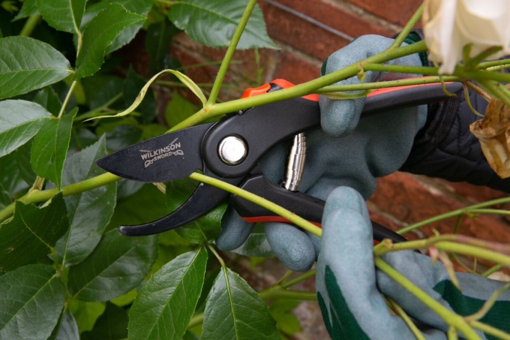 Let gardens flourish with Wilkinson Sword