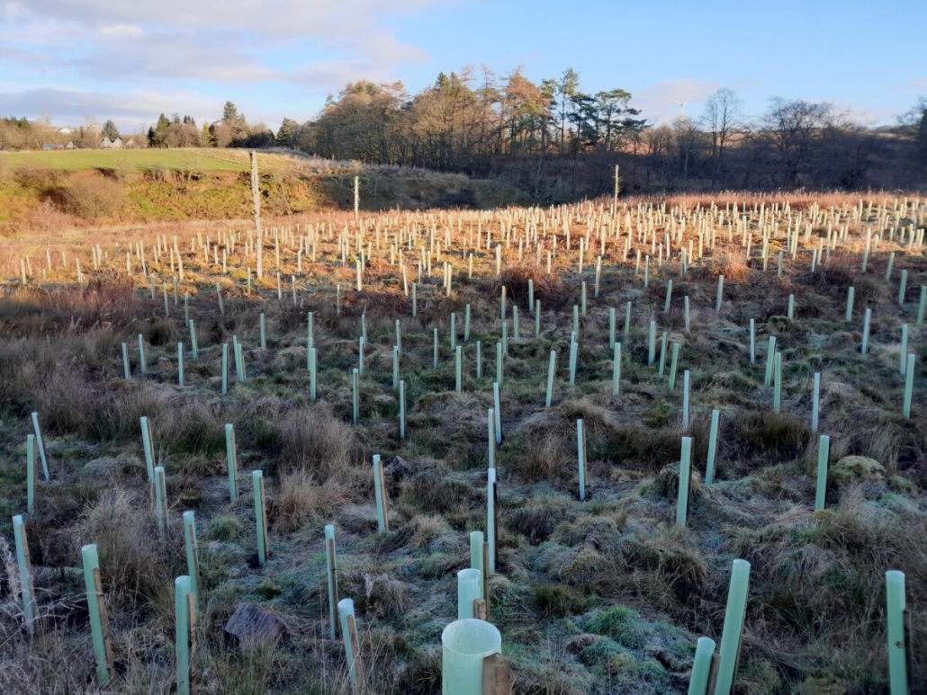 Green-tech Supports Tilhill Forestry