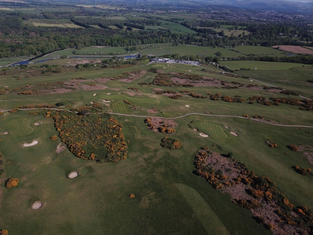MM50 Helping Tees Stand the Test of Time MM50 Helping Tees Stand the Test of Time