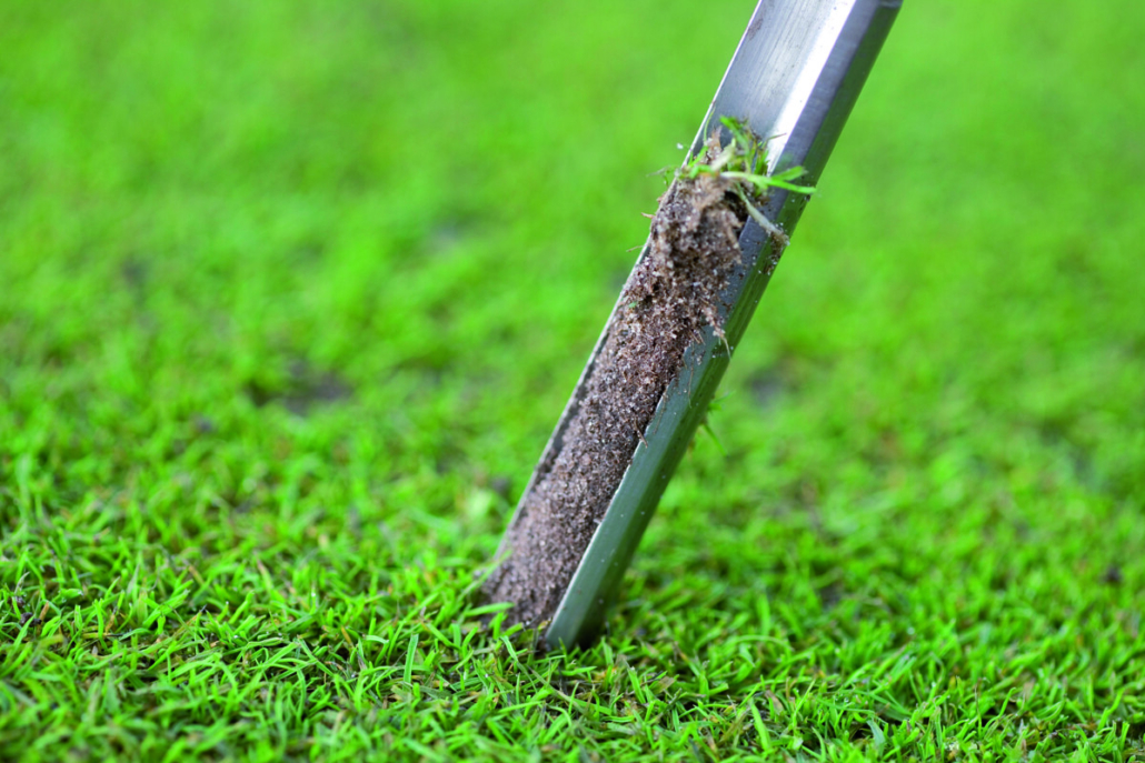 Do soil analysis results determine your fertiliser plan? Do soil analysis results determine your fertiliser plan?