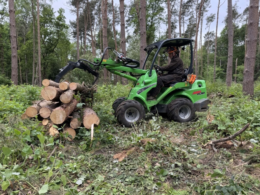 Brentwood Tree Surgery Reaches New Heights 