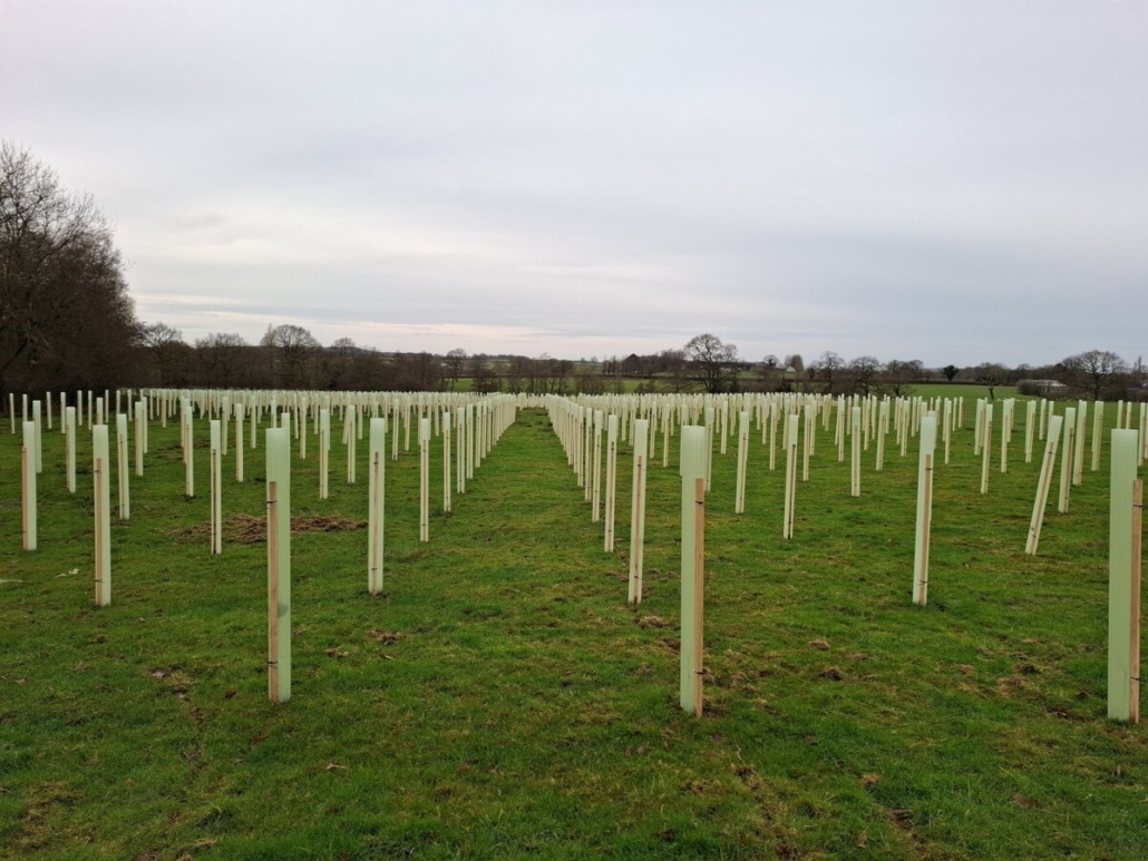 Tubex Tree Shelters Now Made with Minimum 50% Recycled Content