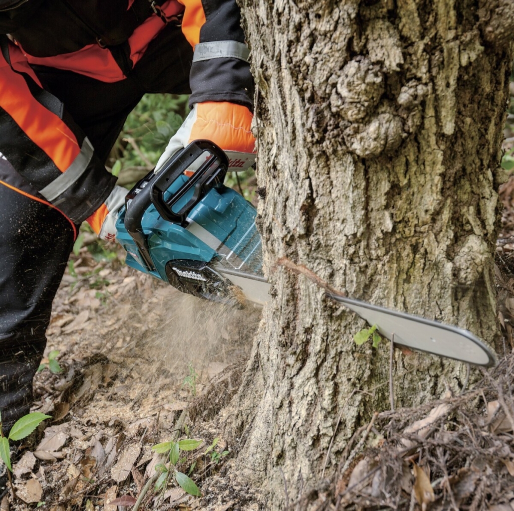 Makita releases its new cordless chainsaw