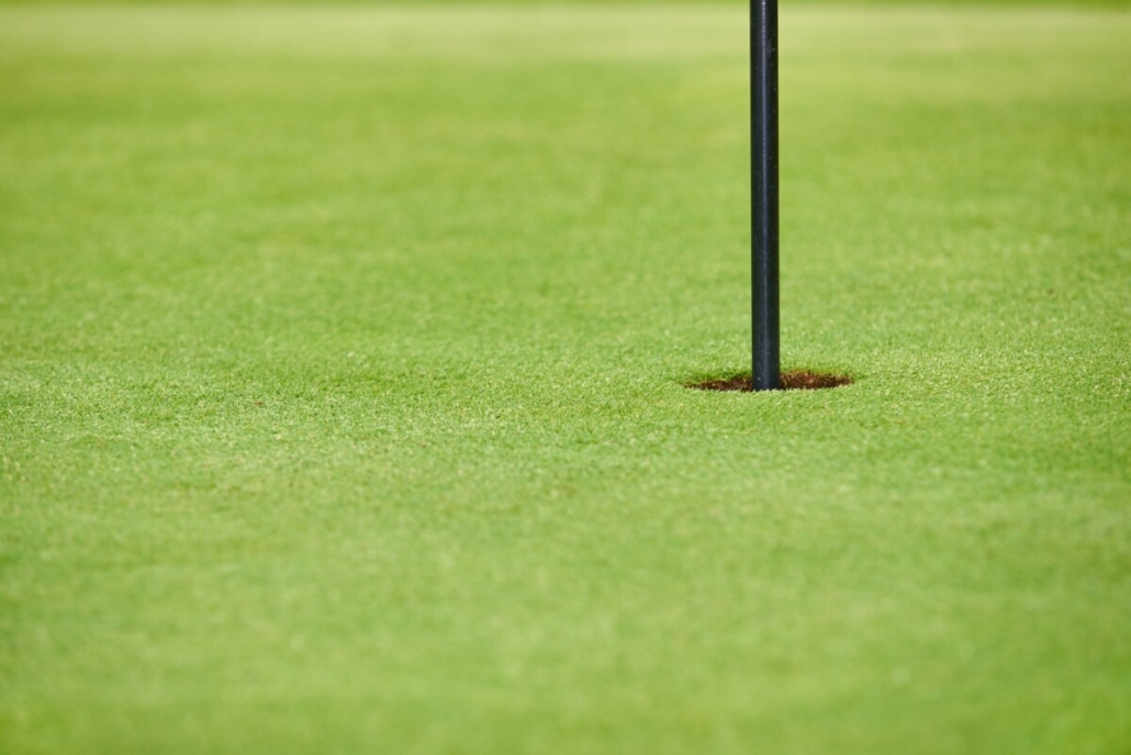 Germinal Amenity announces 2026 grass seed mixtures 