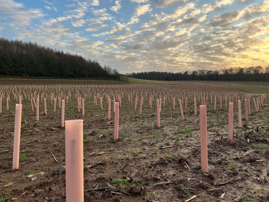 Tubex Launches Biodegradable Nature Easysleeve