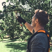 STIHL's new battery powered pruning shears