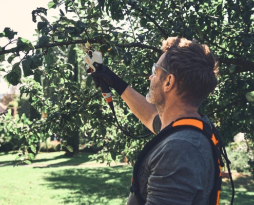 STIHL's new battery powered pruning shears