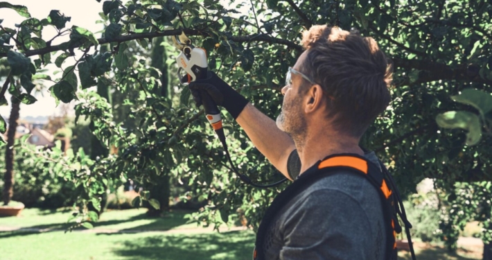 STIHL's new battery powered pruning shears