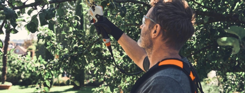 STIHL's new battery powered pruning shears