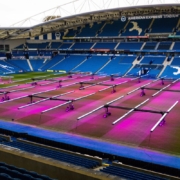 How Wildwood and Stogger is Lighting Up Brighton