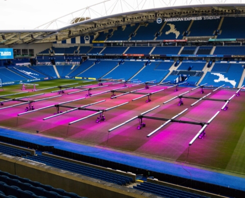 How Wildwood and Stogger is Lighting Up Brighton