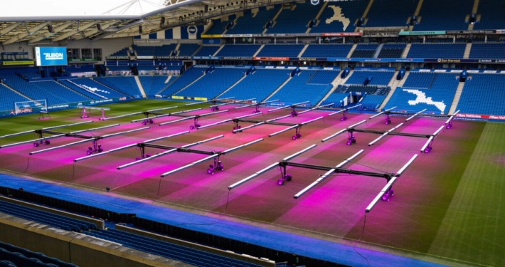 How Wildwood & Stogger’s New Partnership is Lighting Up Brighton’s Pitch