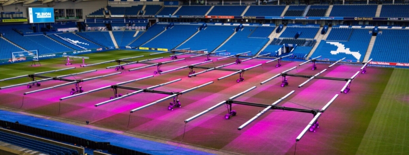 How Wildwood and Stogger is Lighting Up Brighton