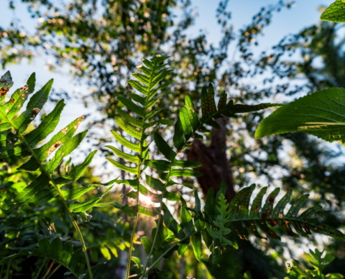 How Subaru UK & Ireland is Helping Horatio’s Garden Transform Spinal Recovery