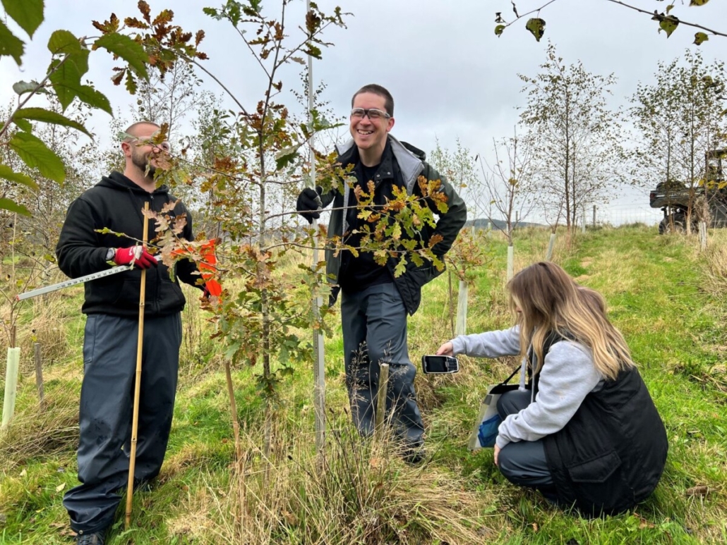 Tubex Shelters in The Carbon Community Project