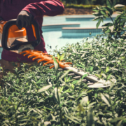 STIHL launches ‘Try Before You Buy’ initiative for AP System tools