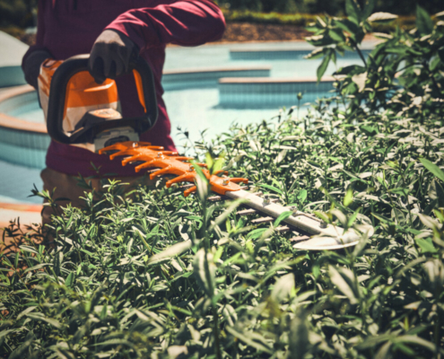 STIHL launches ‘Try Before You Buy’ initiative for AP System tools