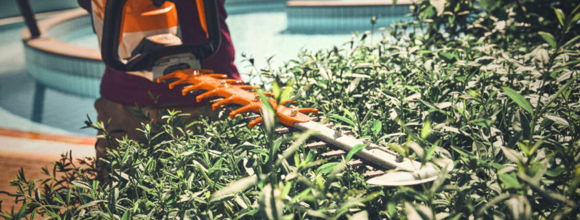STIHL launches ‘Try Before You Buy’ initiative for AP System tools