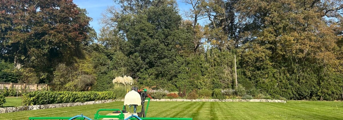 Timely application gives the best lawn service results