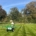 Timely application gives the best lawn service results
